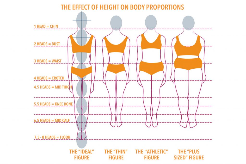 Body Proportions Explained - Long Body, Shorter Legs — Inside Out Style