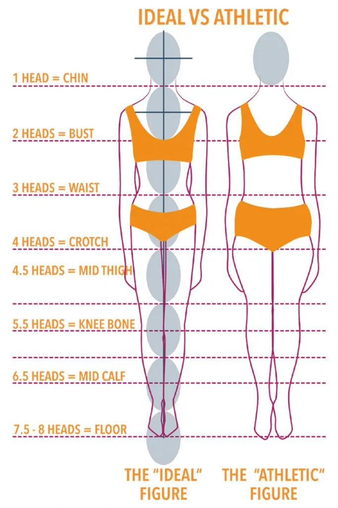 Understanding Body Proportions - The Creative Curator