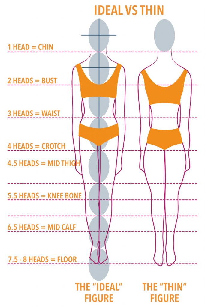 Understanding Body Proportions The Creative Curator