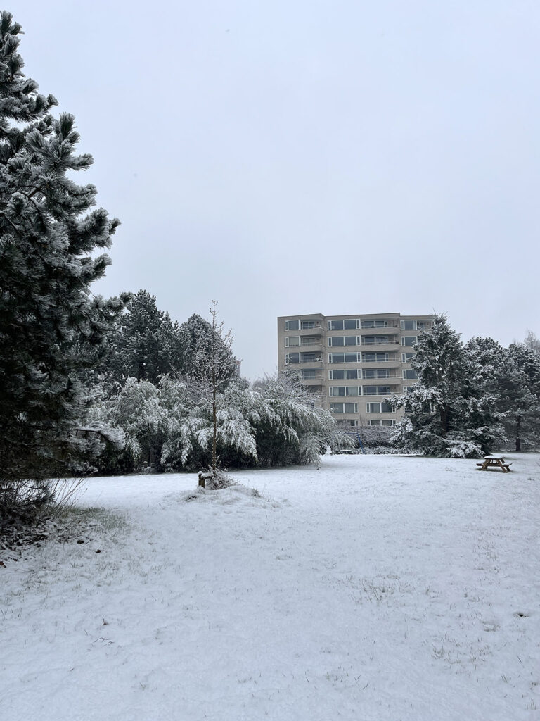 I took a very long walk in the snow to quiet my mind while waiting for news on Baby M's arrival!