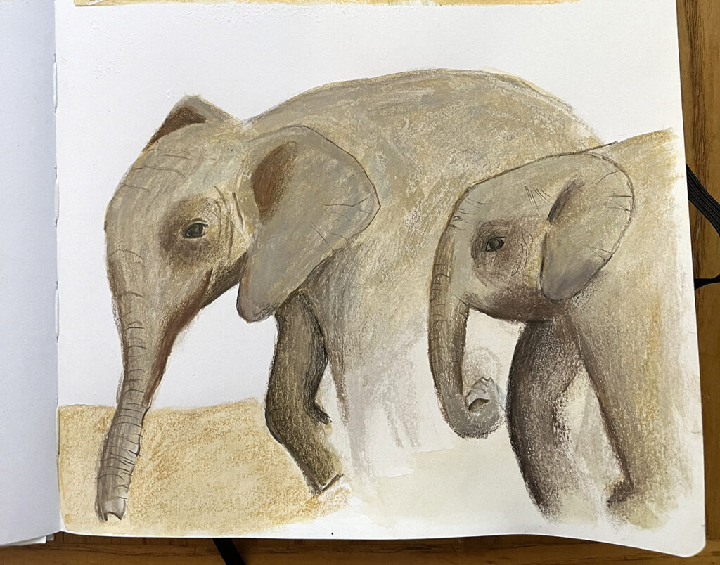 Loved drawing elephants with mixed media