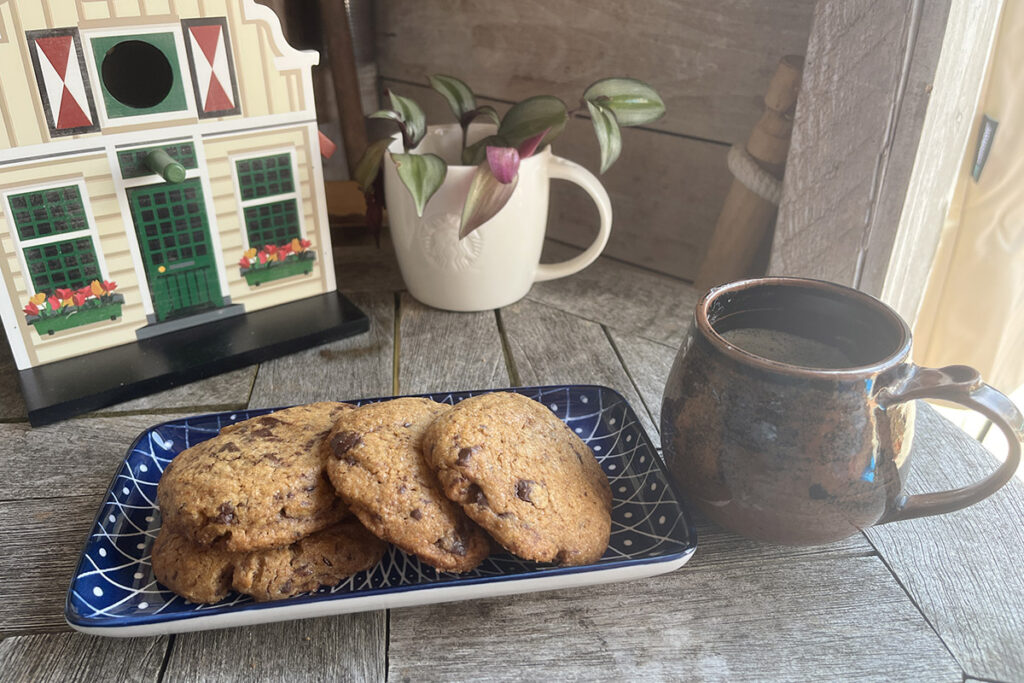 But my homemade chocolate chip cookies were a success!